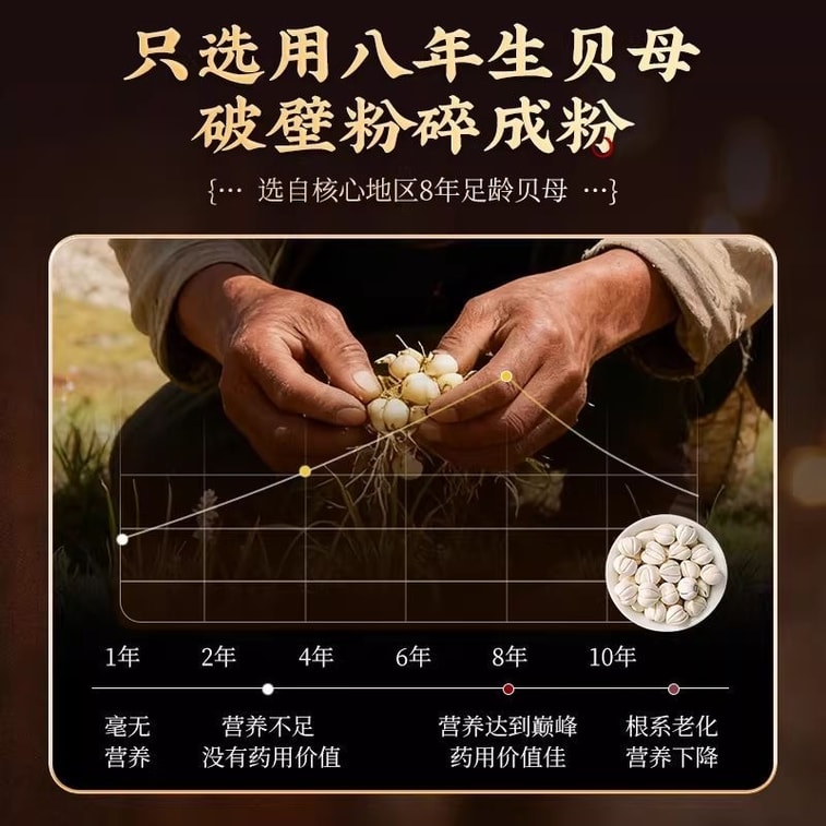南京同仁堂 贝母粉 川贝粉 无硫 粉质细腻独立袋装 轻松告别干咳少痰喉咙难受久咳 天然中药材 雪梨膏枇杷膏 川贝母煲汤 炖汤 40g 5