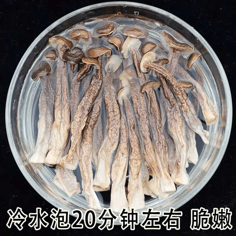 菌妍 新鮮鹿茸菇乾貨非特殊鹿茸菌煲湯食材50g*1包