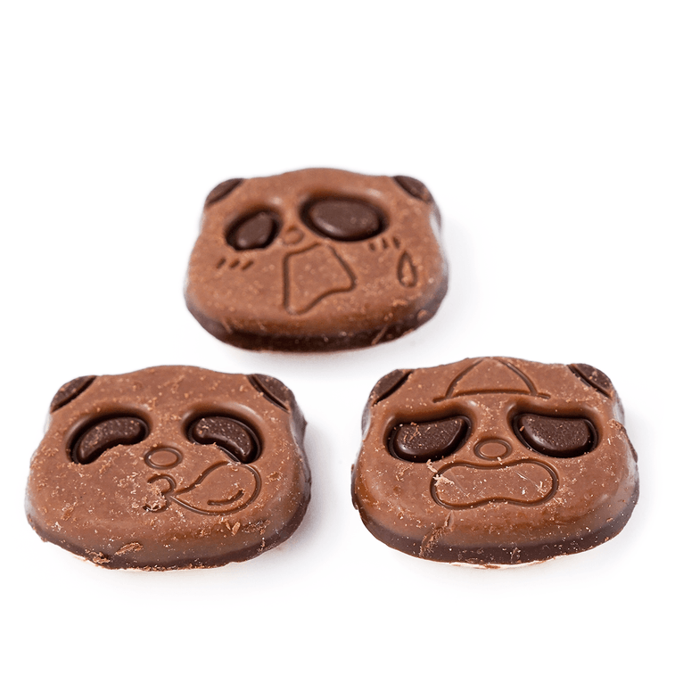 日本KABAYA卡巴也 熊貓造型巧克力曲奇餅乾 47g 3