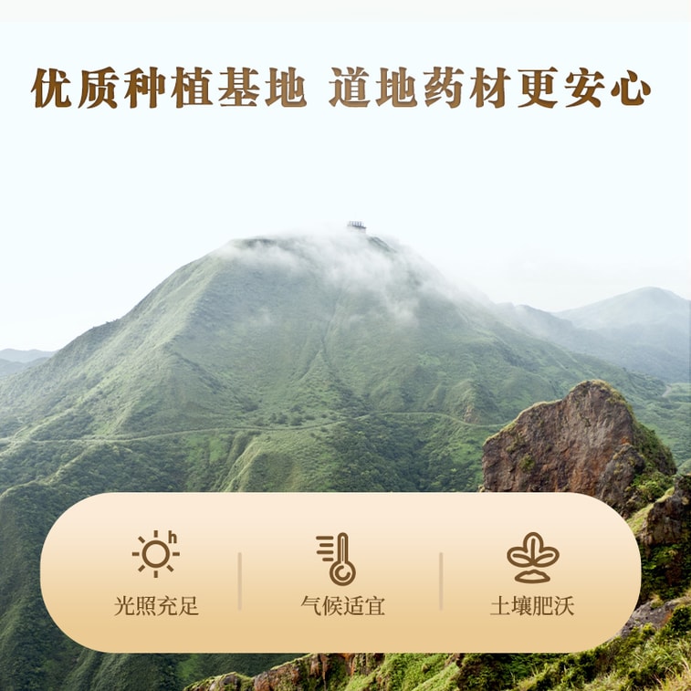 蔡志林【今月の特別価格】高級古木茯苓250g。湿気を取り除き、心気を調和させ、心臓を養います。脾虚、食欲不振、落ち着きのなさ、動悸、不眠症などに用いられます。広東省の漢方医に供給されています。グラム当たりの価格はお手頃です。健康維持に欠かせない、春夏の必需品です。 5