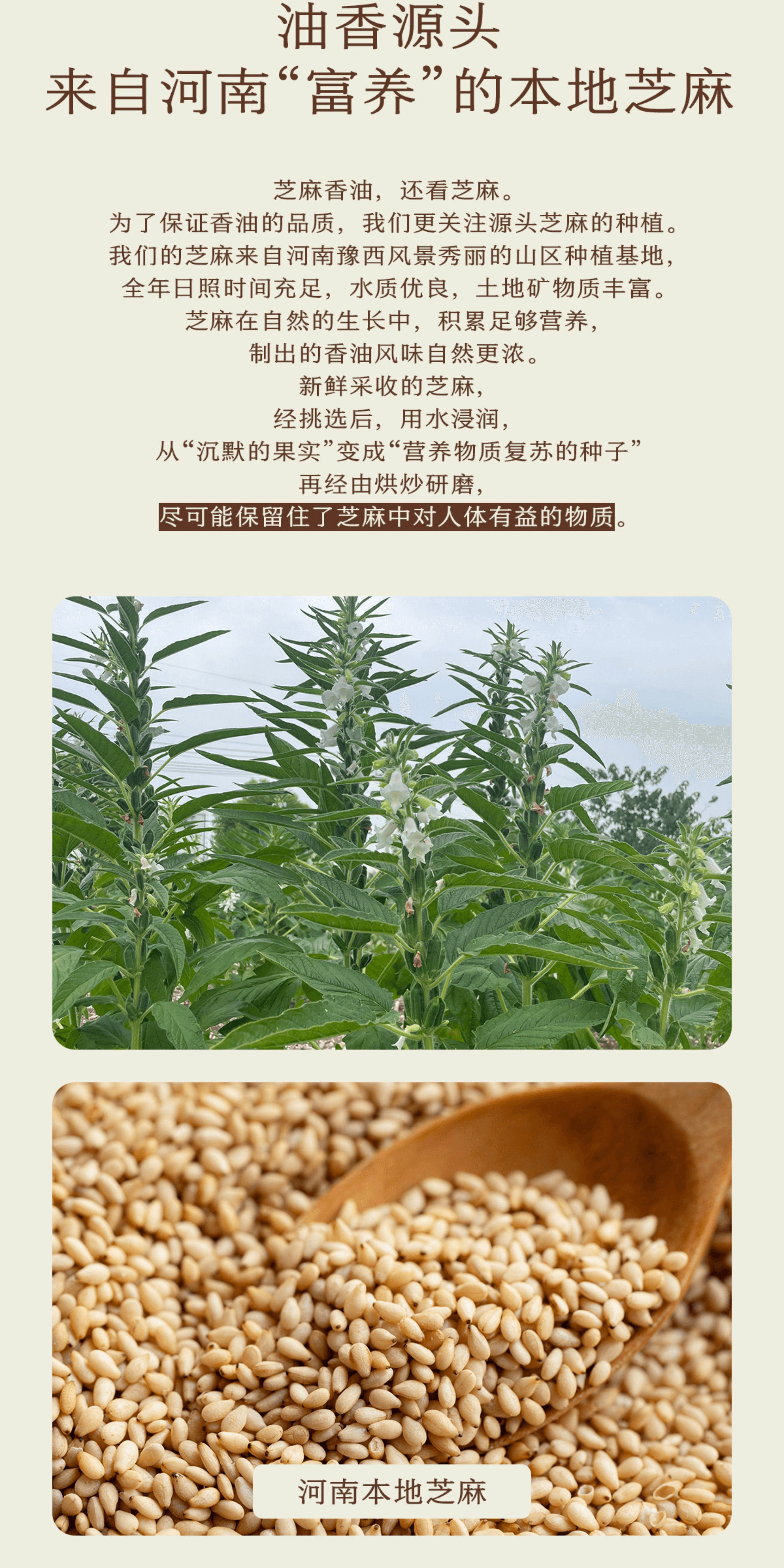 【中国直邮】 南食召 小磨香油百分百纯芝麻香油小瓶装160ml*1瓶