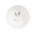 Petorama陶瓷宠物肖像印花圆形碗-布偶