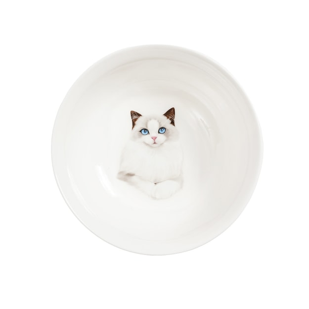 商品详情 - Petorama陶瓷宠物肖像印花圆形碗-布偶 - image  0