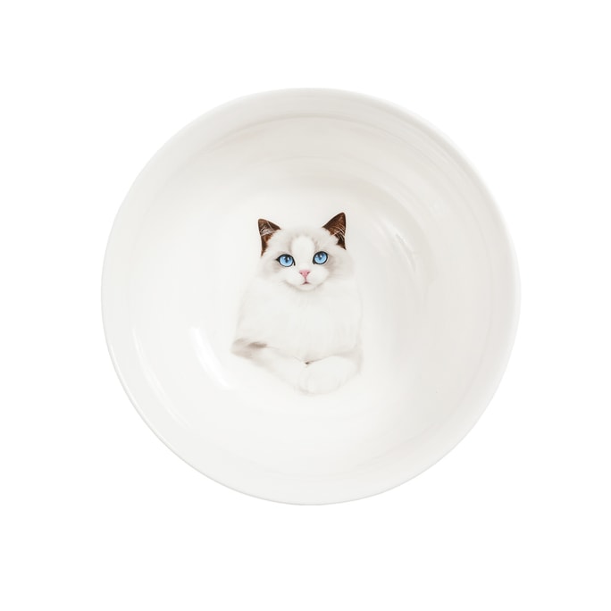 Petorama Pet Portrait Porcelain Bowl - Ragdoll
