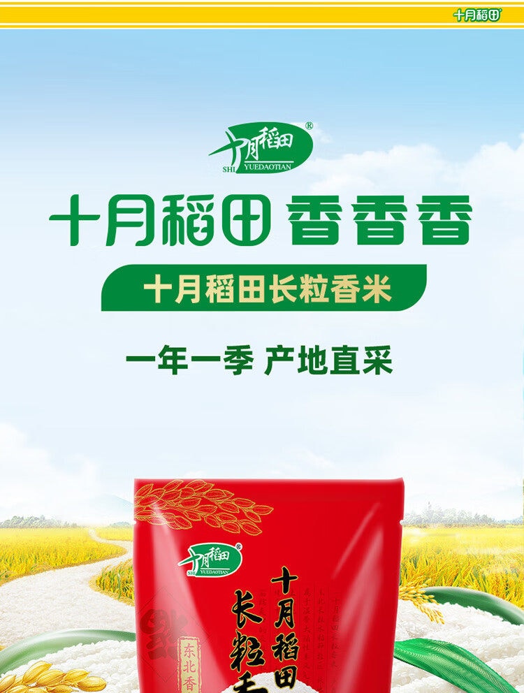 十月稻田 【爆款东北大米】颗粒饱满 清香耐嚼长粒香米(一年一季新米)300g*1袋