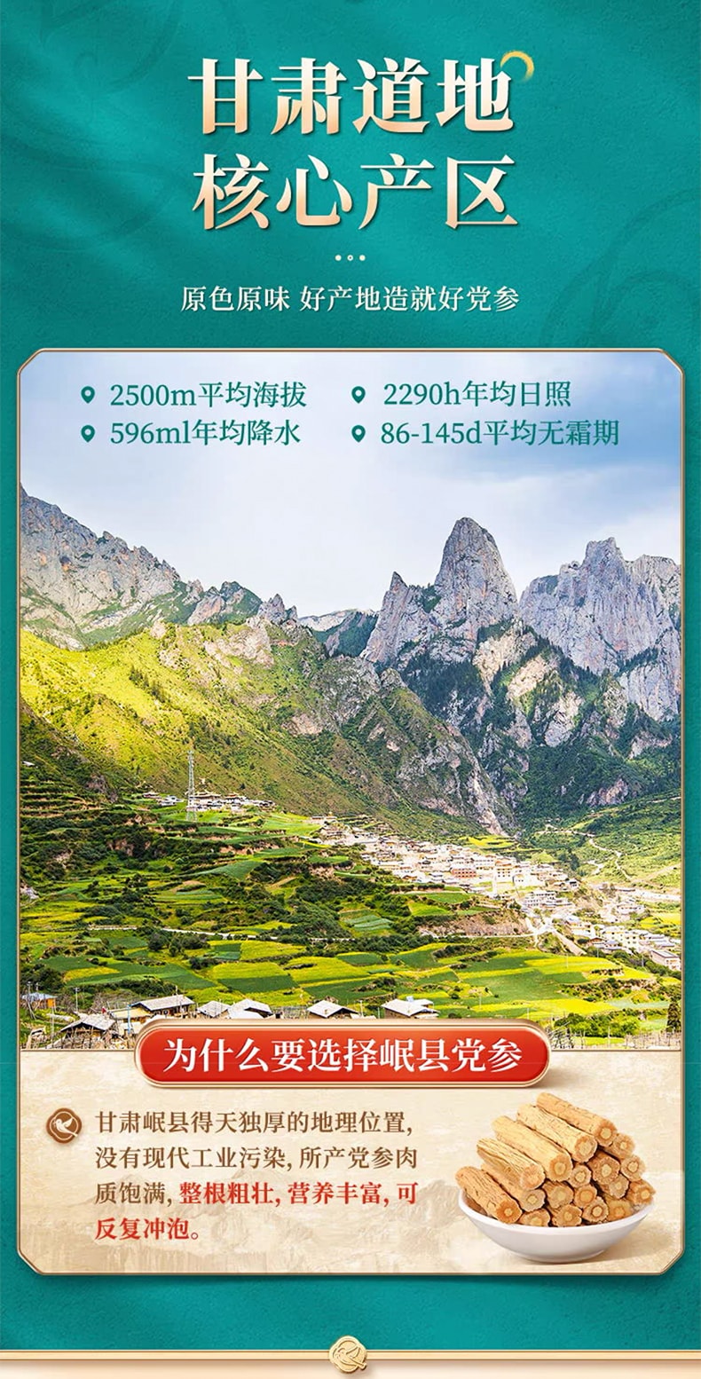  鵲和堂 甘肅岷縣黨參 乾貨中藥材泡水 100g【平和版的人參 補中益氣 健脾益肺 養血生津 】