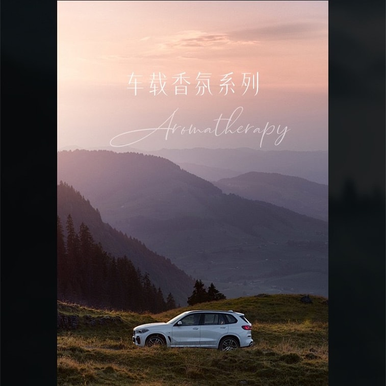 Car Air Freshener High Mountain White Tea 120 ML 6