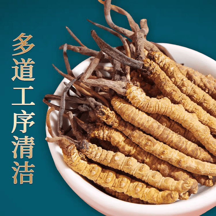 冬虫夏草 天然有道 【公式通販】