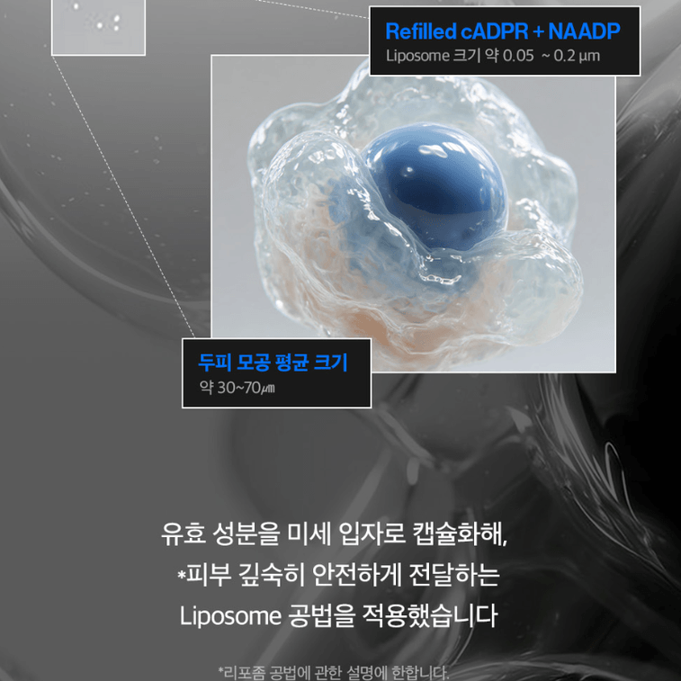 Refilled Anti-Hair Loss Scalp Essence 100ml1bottle 3