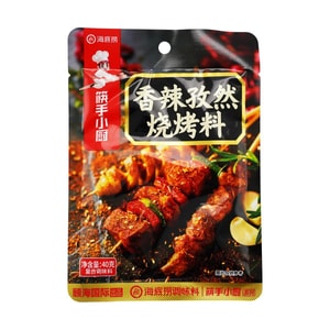 海底捞 筷手小厨 香辣孜然烧烤肉料 微辣 40g