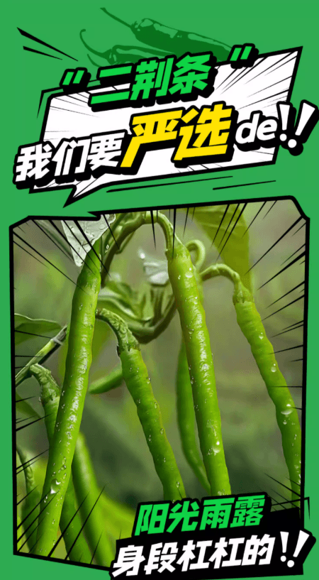 【中国直邮】 翠宏 烧椒酱 碳烤风味 椒香四溢 辣而不燥 擂椒青椒酱 四川特产辣椒酱 下饭夹馍拌面酱 30g*4罐