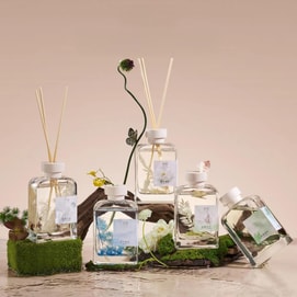 宋朝 自然万物系列无火香薰 卧室家用室内持久香氛 晨露玉兰 大容量500ml