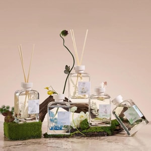Natural World Series, Jasmine & Magnolia Scent Flameless Diffuser, 500ml Large Capacity, Fresh Home Fragrance * 2 bottle