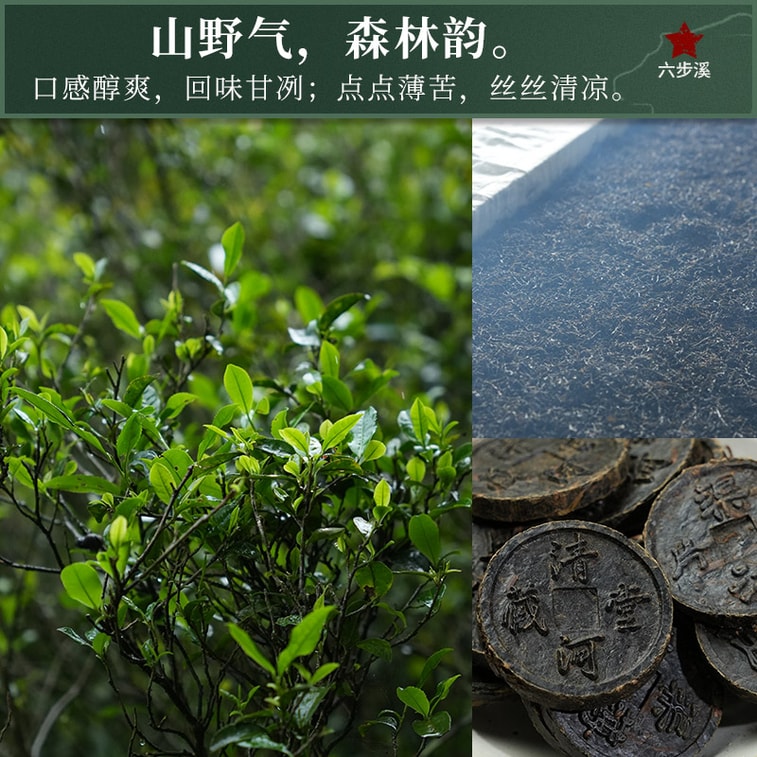 小師姐評茶【美國現貨秒發】荒野安化黑茶 2017年六步溪天尖薄片 六步玲瓏 荒野老樹茶葉 古法工藝 適度發酵 滋味醇厚甘潤 喉韻清涼 降脂解膩 暖胃健脾 促進代謝 豐富礦物質 一片一泡 取用方便 60g 5