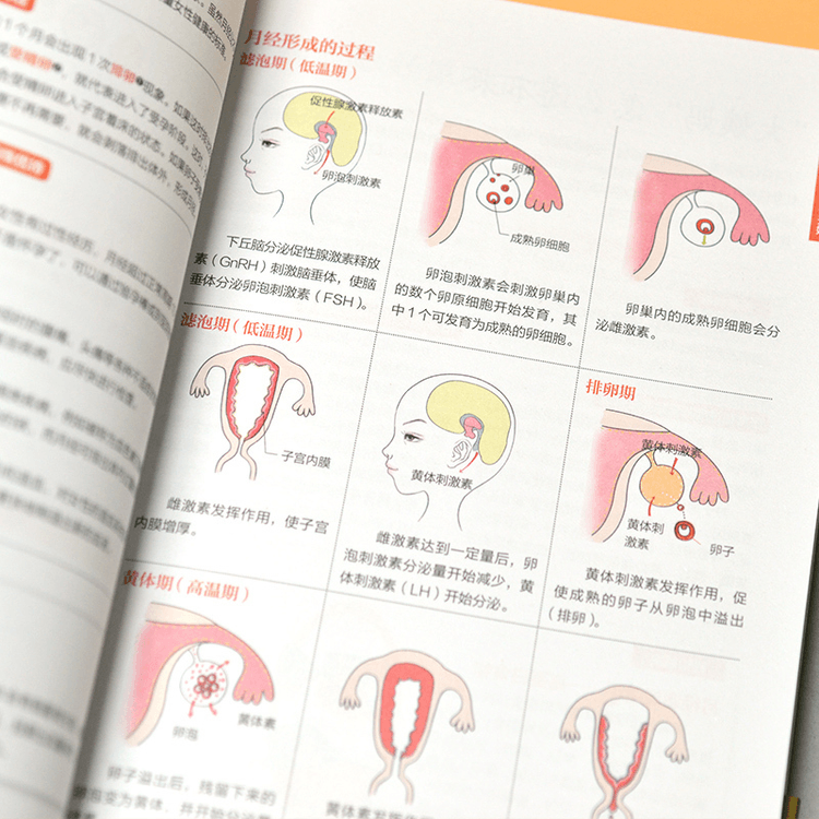 中国直送】図解女性医学早わかりブック 新装版 - Yami