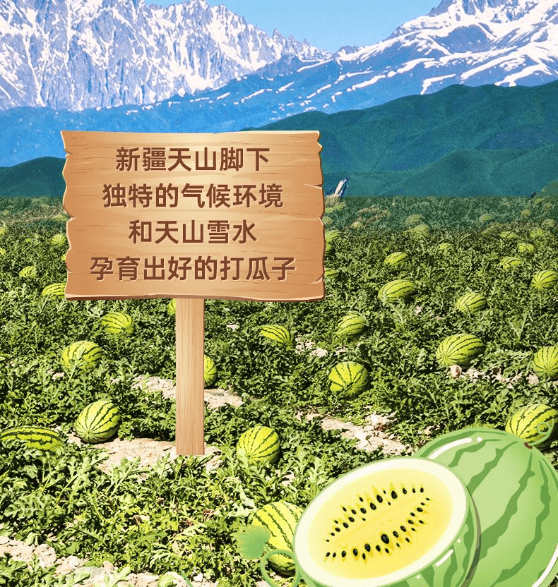 【中國直郵】 洽詢 新疆打瓜袋中袋小而香西瓜子180g*3袋
