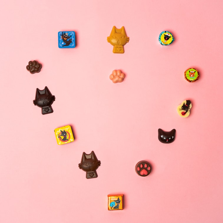 日本GONCHAROFF×宮崎一人联名款 ANGEGE黑色猫咪 巧克力礼盒 混合口味 13枚装 【可爱迷人猫猫教】 3