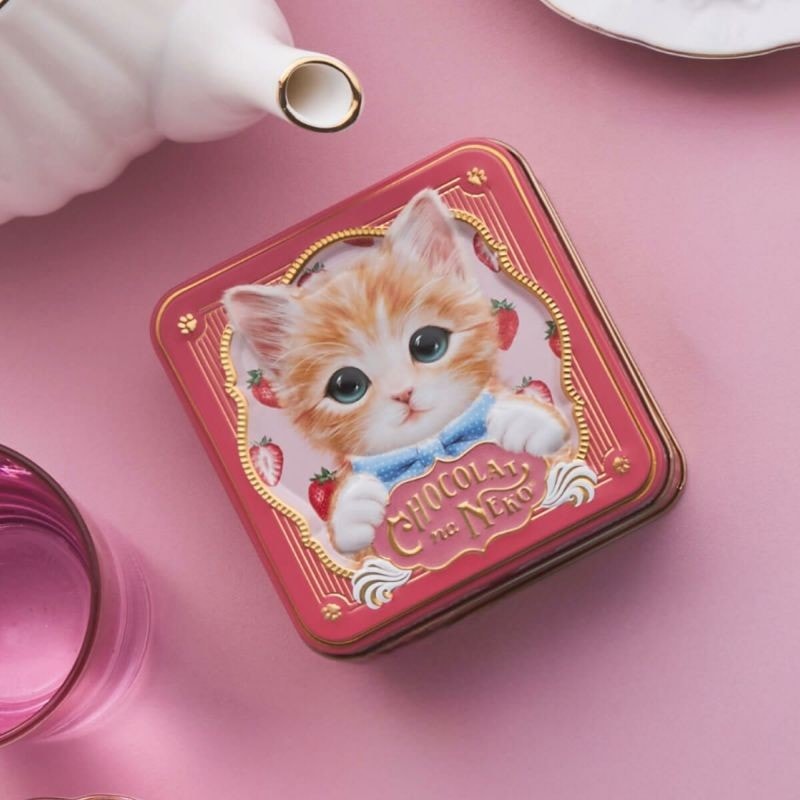 【日本直郵】 日本 摩洛索夫 限時 喵不可言 草莓小貓巧克力禮盒 6粒裝