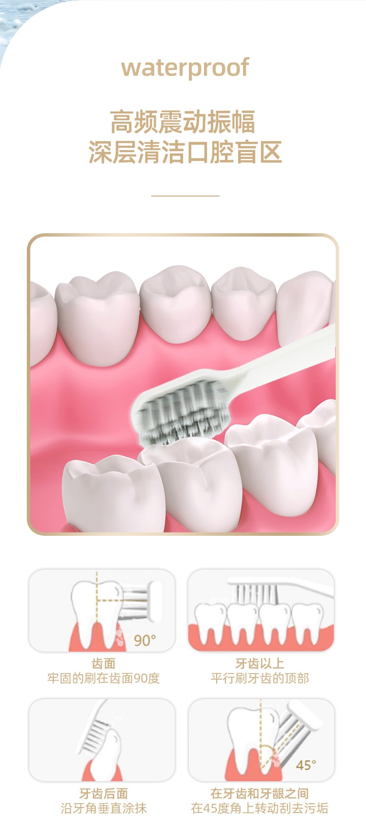 【中國直郵】 多蒙 智慧型電動牙刷USB充電全自動成人款情侶套裝家用防水 1 把