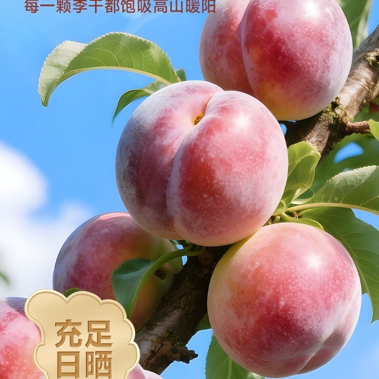 【中国直邮】 比比赞 李子干 永泰李干80g 特色芙蓉李酸甜果干果脯茶配蜜饯办公室休闲零食 3