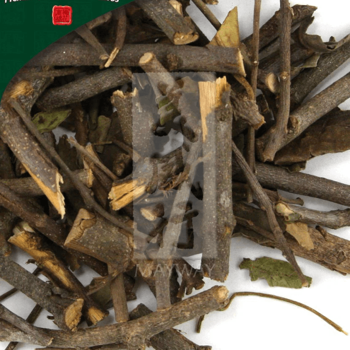 Sang Ji Sheng, Unsulfured Taxillus Chinensis Stem & Leaf 500 G/bag