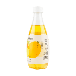 Ginger Lemon Flavored Carbonated Tea 16.91 fl oz
