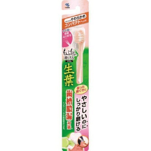 1 soft-bristled toothbrush with raw leaves