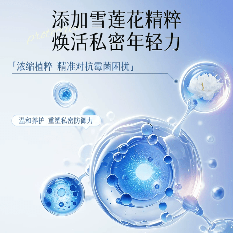 [중국 직배송] 부염결 설련 항진균 세정액 농축 무세척 [2병] 주기 관리 160g 3