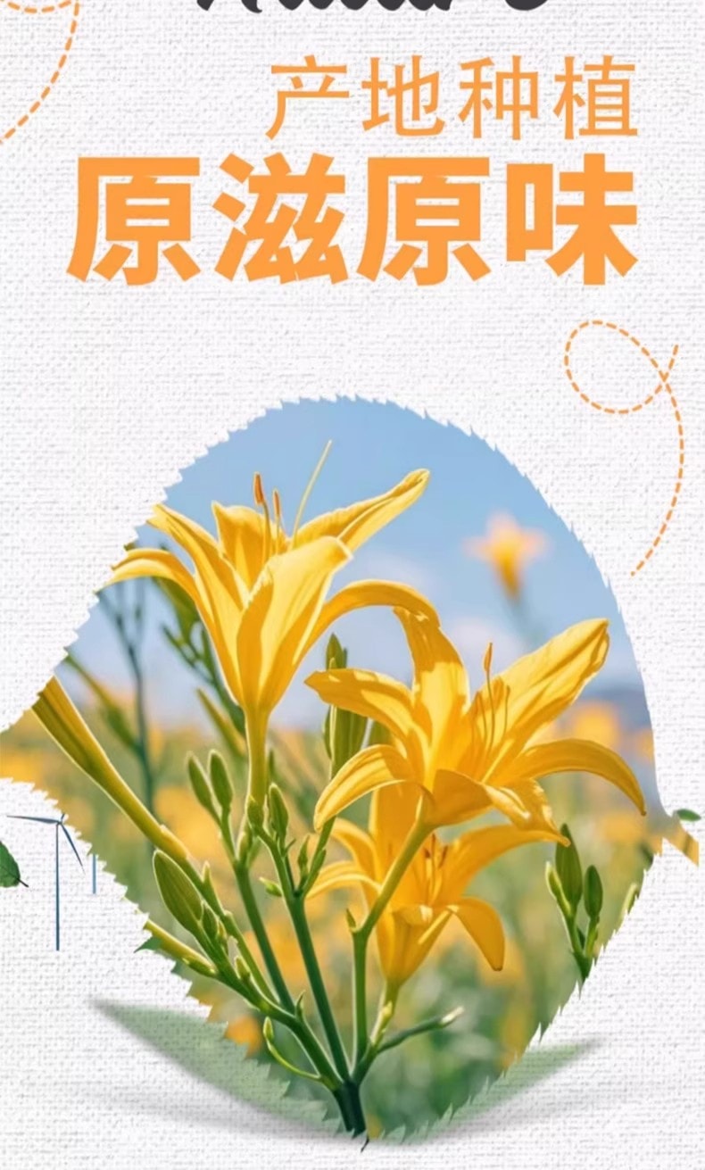  古松 当季干黄花菜金针菜 严选当季新菜色泽金黄、条索长、粗壮 真空保鲜100g  炒菜煲汤食材忘忧草凉拌什锦菜【干度适中、口感鲜嫩】