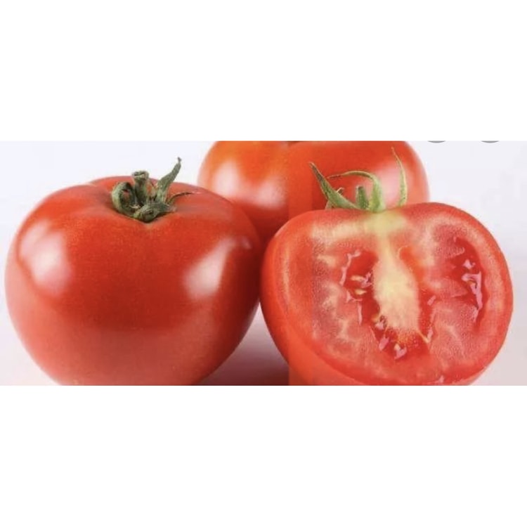 とまとページ F9978 TOMATO 1.4.jpg?v=1715190260