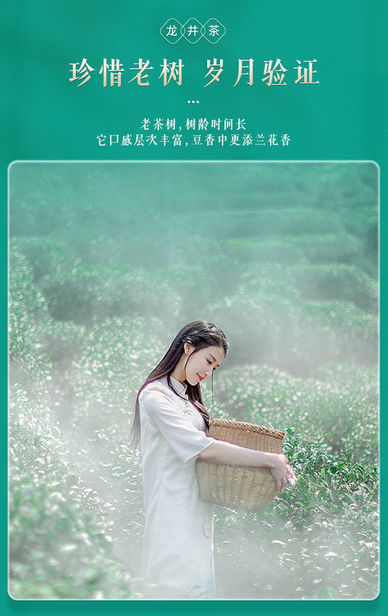 【中国直邮】 西湖牌 2026新茶上市明前特级精选老茶树龙井茶叶春绿茶 250g