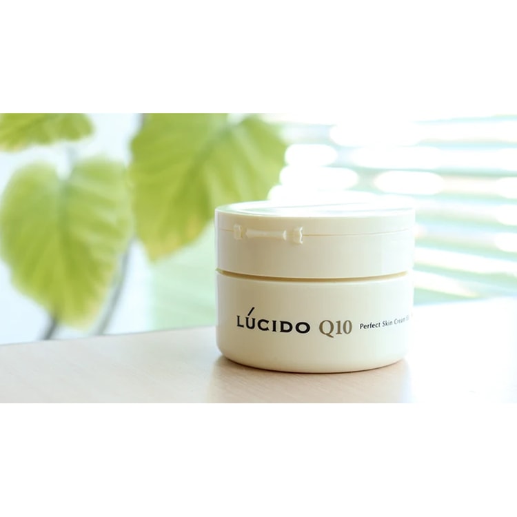 Perfect Skin Cream EX For Men 40 Years Old And Up Moisturizing 90g