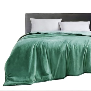 주비스 [초특가] 특대형 두꺼운 담요, 킹사이즈, 녹색, 650g/㎡, 초고중량, 상장 기업 정밀 섬유, 털 빠짐 없음, 특수 정전기 방지 처리, 담요 또는 커버로 사용 가능, 다용도 담요, 2.28*2.74m