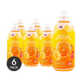 BR Rainbow Sorbet Water 16.9 fl oz  *6【6 Packs】【Trending on Korean CU Store】