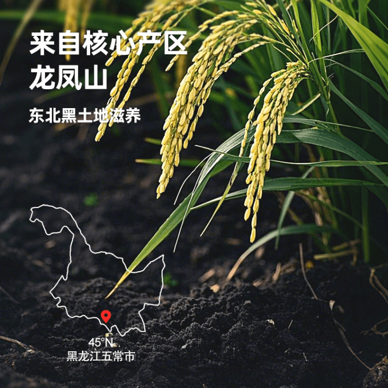 下厨房 五常大米原粮稻花香2号铝箔充氮小包装250g*1包 4