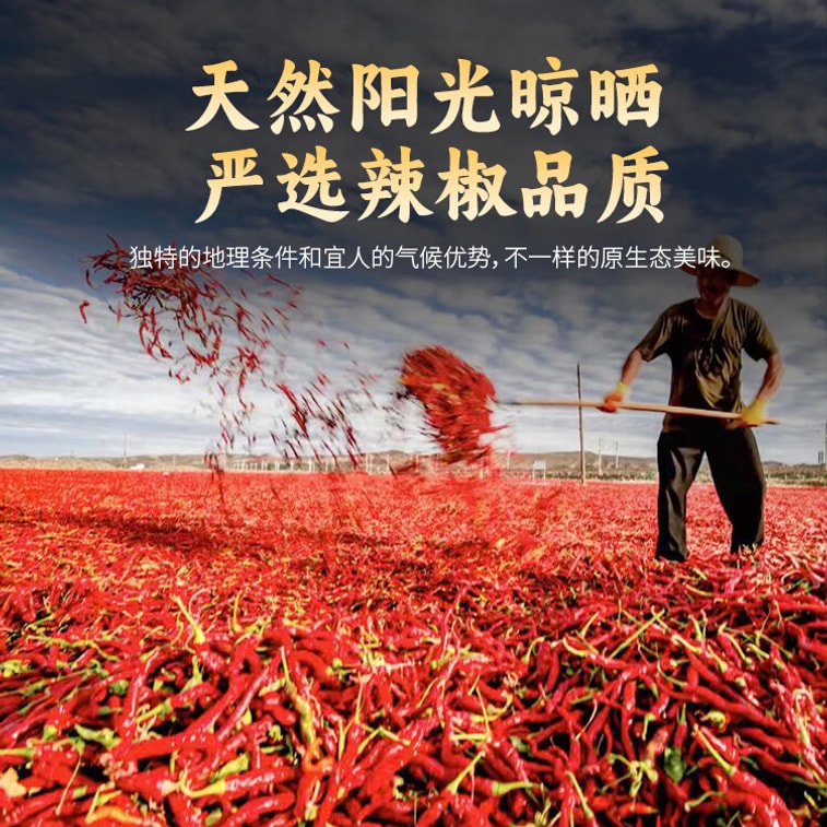 【中國直郵】 魏爾夫 新疆辣皮子線椒(中辣) 500g 5