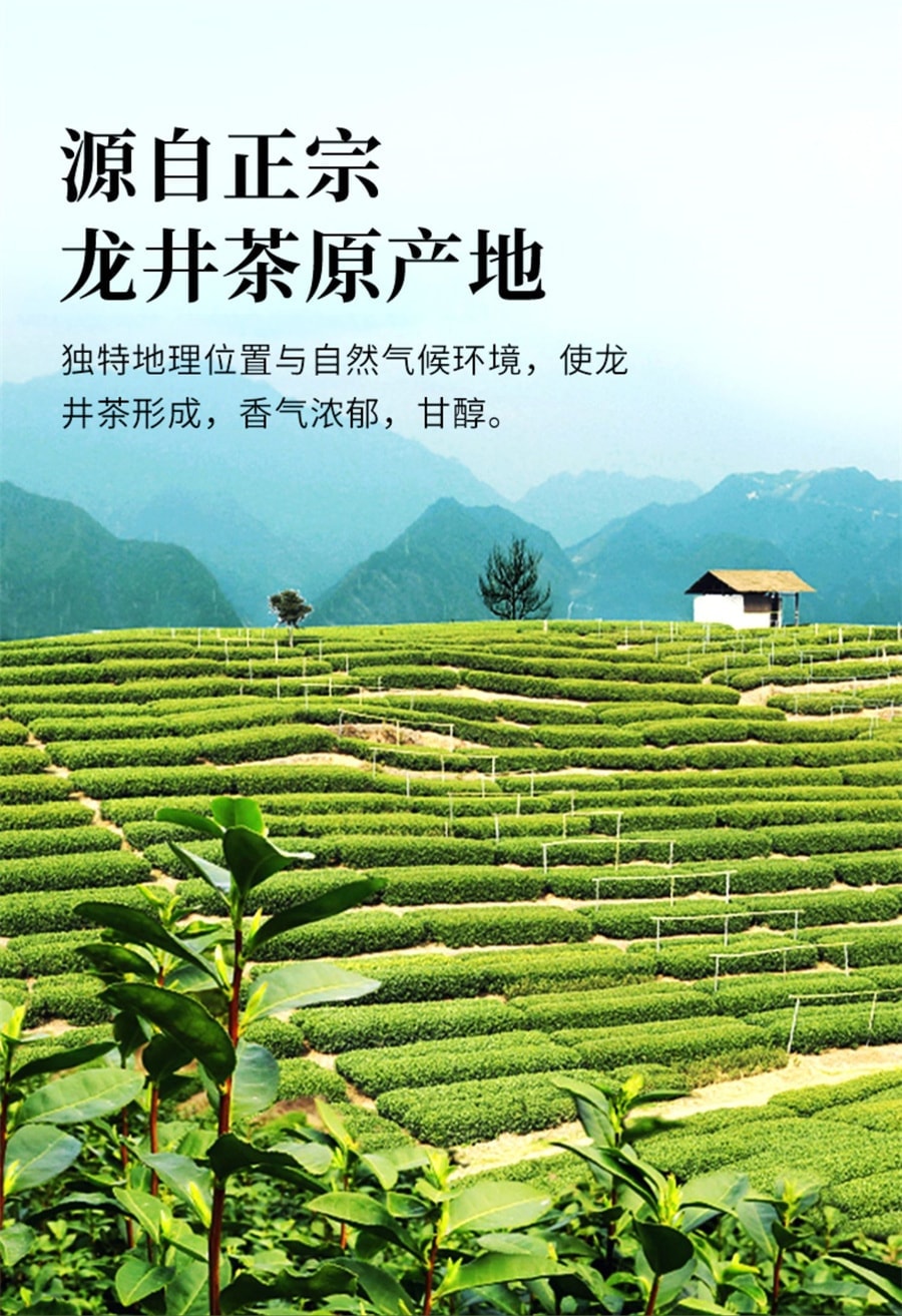【中国直邮】 一杯香 新茶龙井香明前茶叶绿茶春茶 250g/瓶