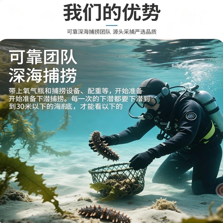 优米甄选 【正宗正品】有机冻干海参 非养殖 高蛋白 大连刺参 孕妇营养品必备 非即食 送礼必备干货 4