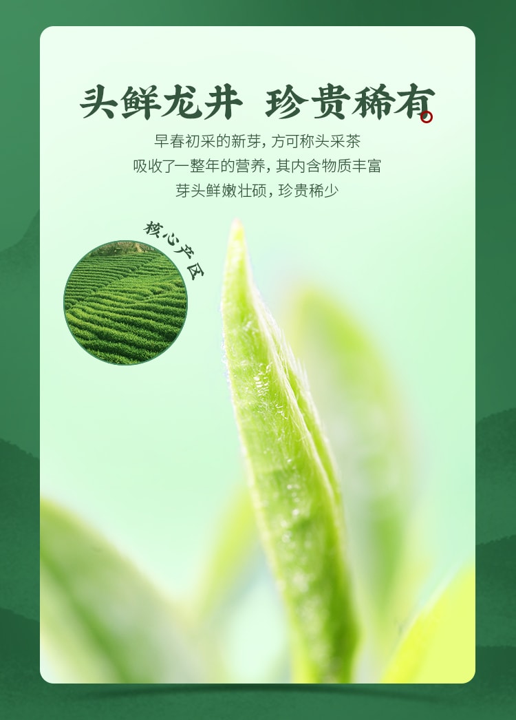 【中国直邮】 狮峰茶叶 2025新茶上市 高山头采明前龙井茶叶礼盒装绿茶 200g/盒特级送礼