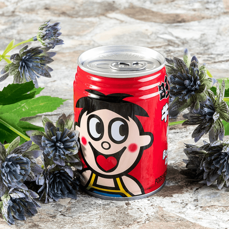 Milk Drink, 245ml*6