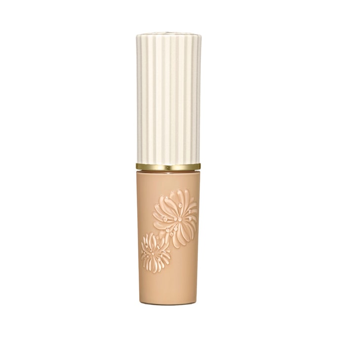 Beaute Concealer 11g #01