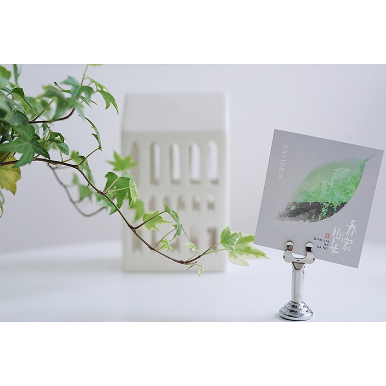 乔家的儿女(白宇、毛晓彤、宋祖儿等领衔主演电视剧原著小说) 5