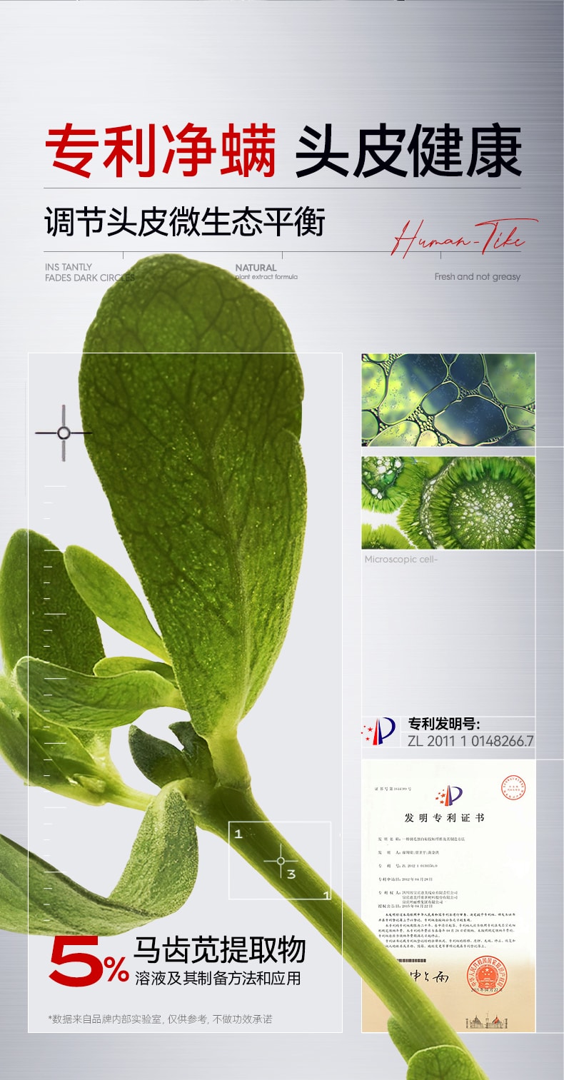 【中国直邮】 新加坡 Kuvive 毛囊净澈洗发水 二硫化硒洗发水毛囊除炎螨去屑止痒控油蓬松洗头膏露男女正品 500ml/瓶