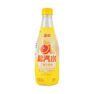 Triple Grapefruit Salty Soda 13.86 fl oz【Relieve Greasiness】【Juice Content ≥2.5%】