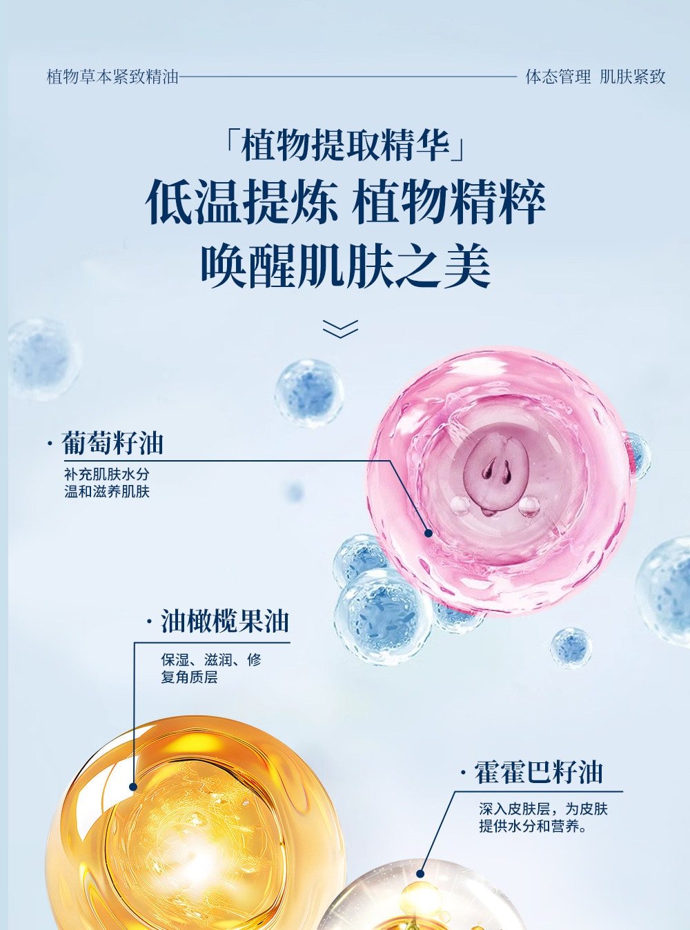 拓格 電動經絡刷精油疏通按摩儀全身通用揉腹塑性 緊緻精油 500ml 1瓶裝 (搭配經絡刷 效果加倍)