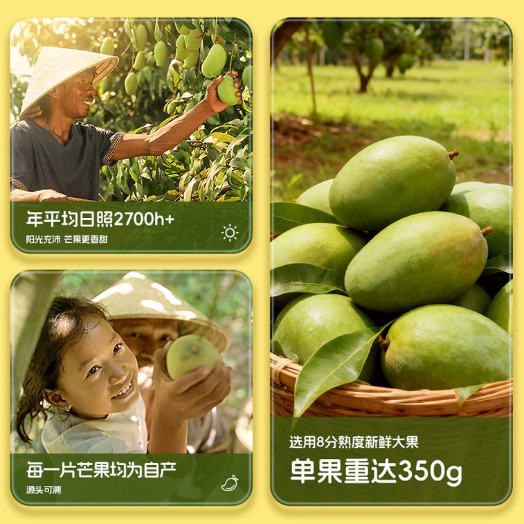 [중국 직배송] 옌진샵 코코넛 망고 스트립, 동남아시아산 신선한 망고로 만든 상큼하고 달콤하며 부드럽고 쫀득한 망고 건과일 스낵 [새콤달콤한 과일 맛, 풍부한 코코넛 향] 100g/2팩 4