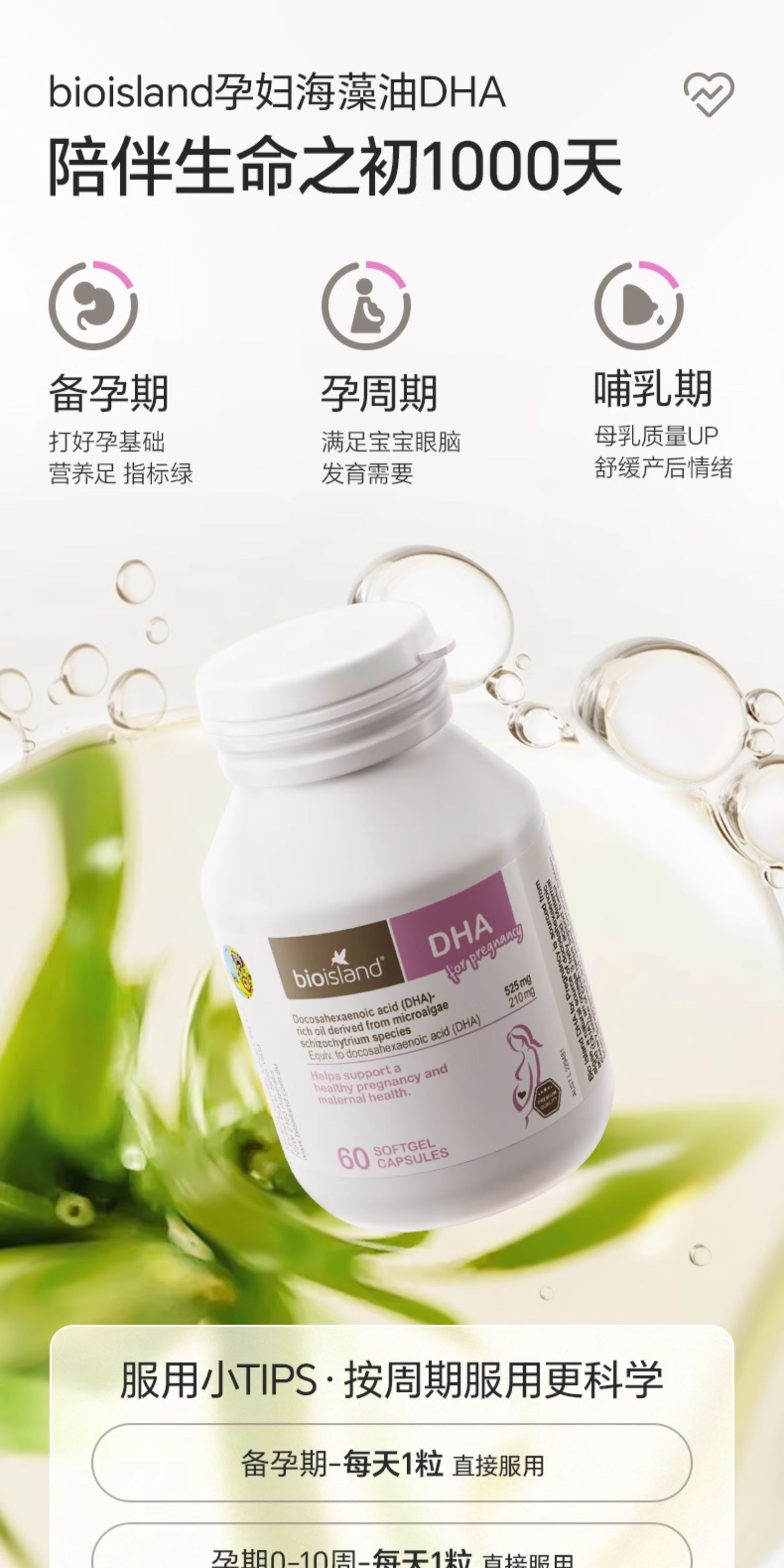 Seaweed Oil DHA for Pregnant Women: Preconception, Pregnancy, and Lactation Balanced Nutrition 60 Softgels per Bottle