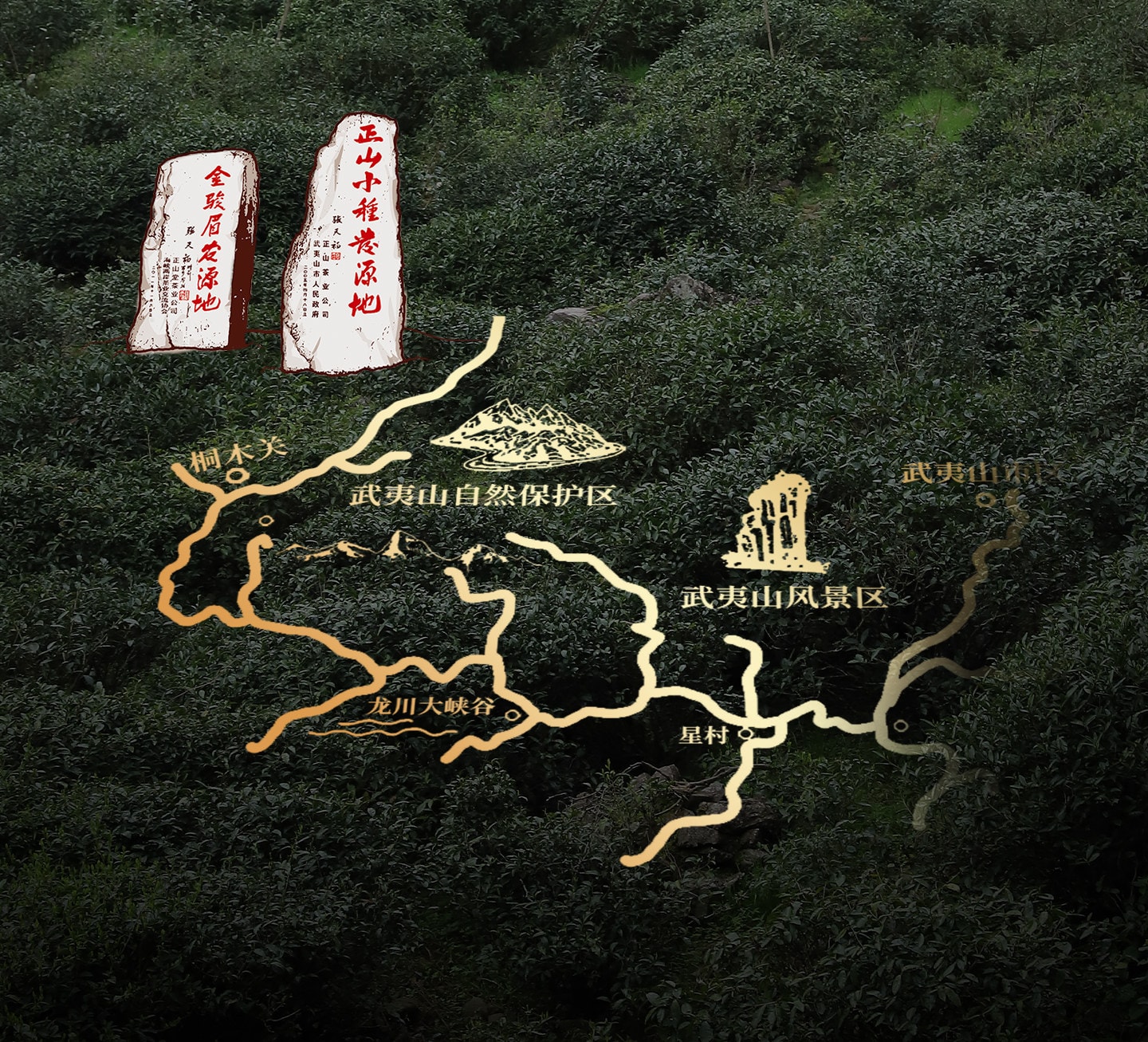 正山堂 特级正山小种红茶 正宗桐木关传统烟熏工艺 罐装50g