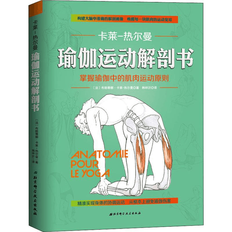 Anatomy Book of Yoga Exercise - Yami.com