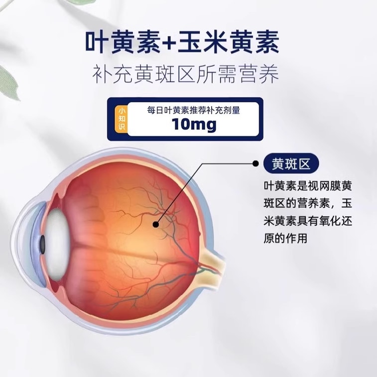 【中国からのダイレクトメール】オーストラリア産バイオアイランド ルテイン ビルベリー 目の保護カプセル 学生の視力を守る 60カプセル/ボトル 3